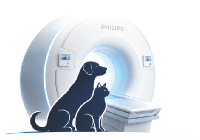 Кабинет МРТ MRI Animal — Philips 1,5 Т