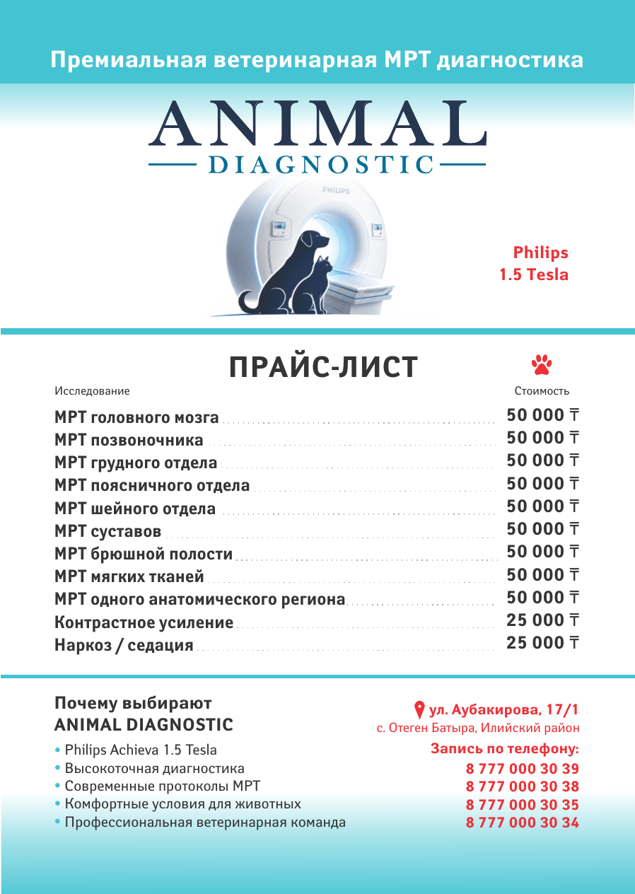 Филиал МРТ для животных MRI Animal в с. Отеген батыра